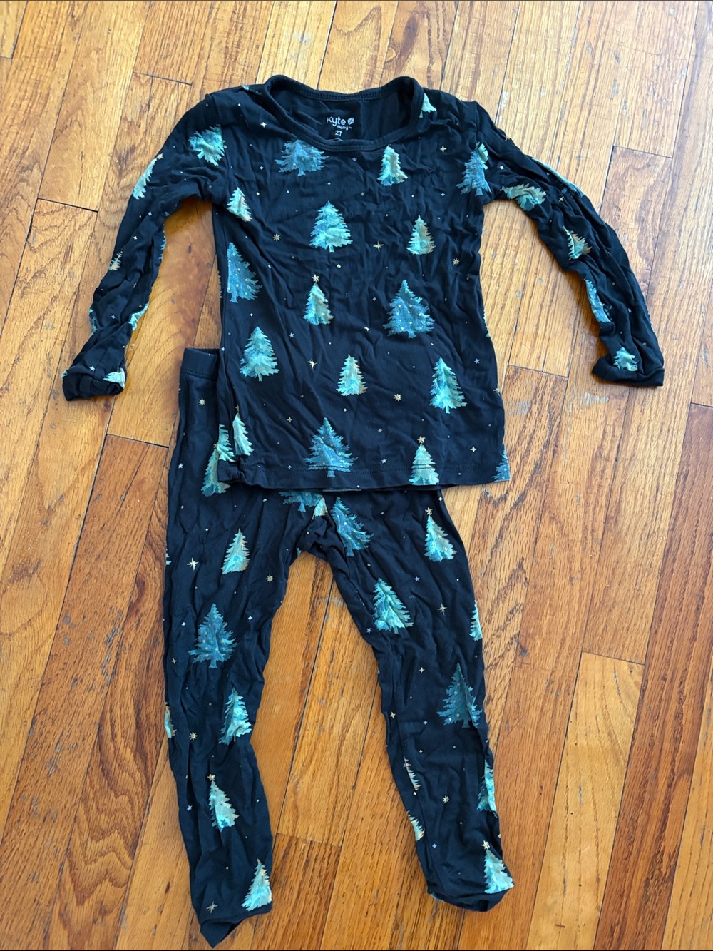 Kyte BABY Black Pajama Set with Teal Tree Print